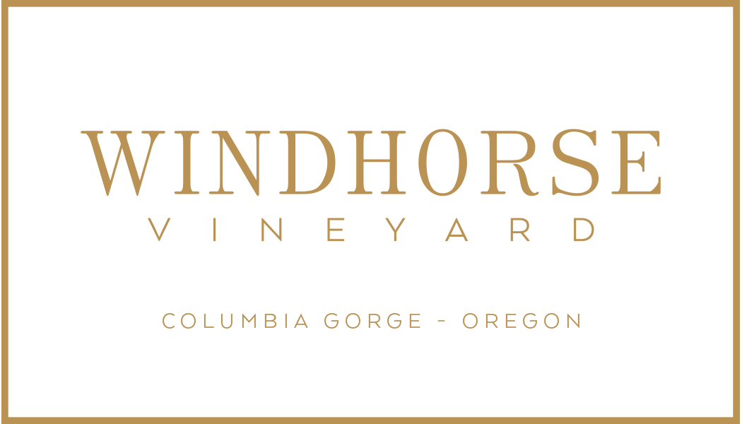 Windhorse Vineyard, Columbia Gorge, Oregon