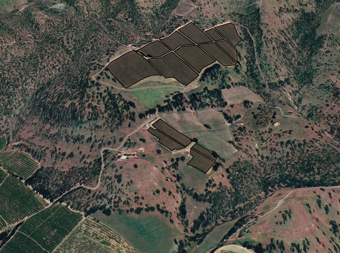 Windhorse Vineyard blocks map, Columbia Gorge AVA, Oregon