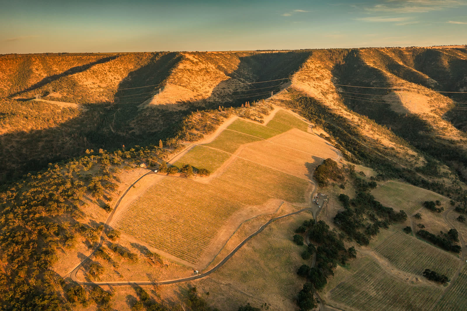 Aerial view of the Windhorse Vineyard estate perched on a canyon ridge