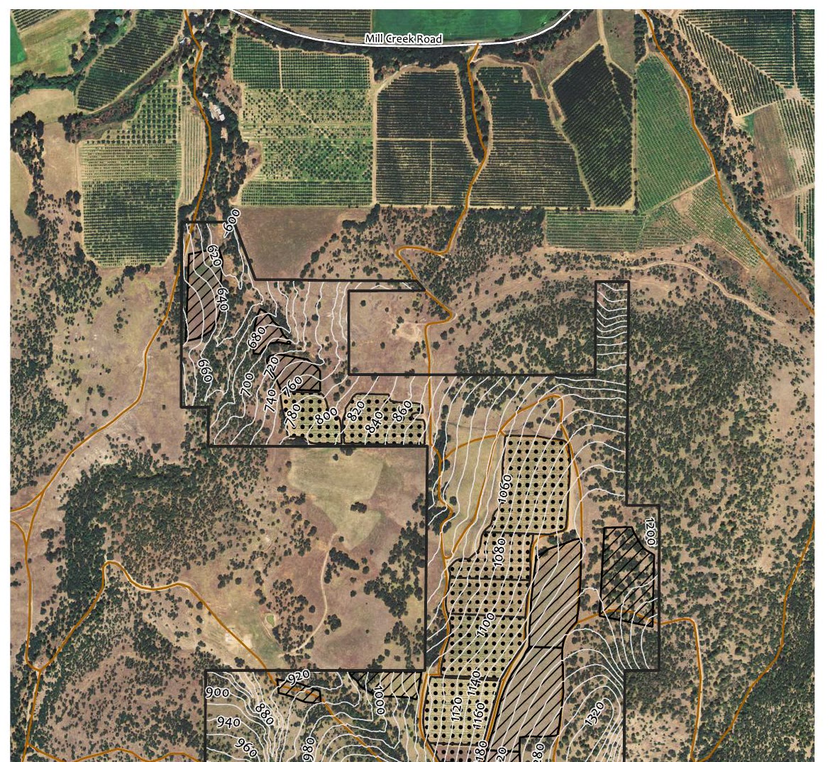 Windhorse Vineyard contours map