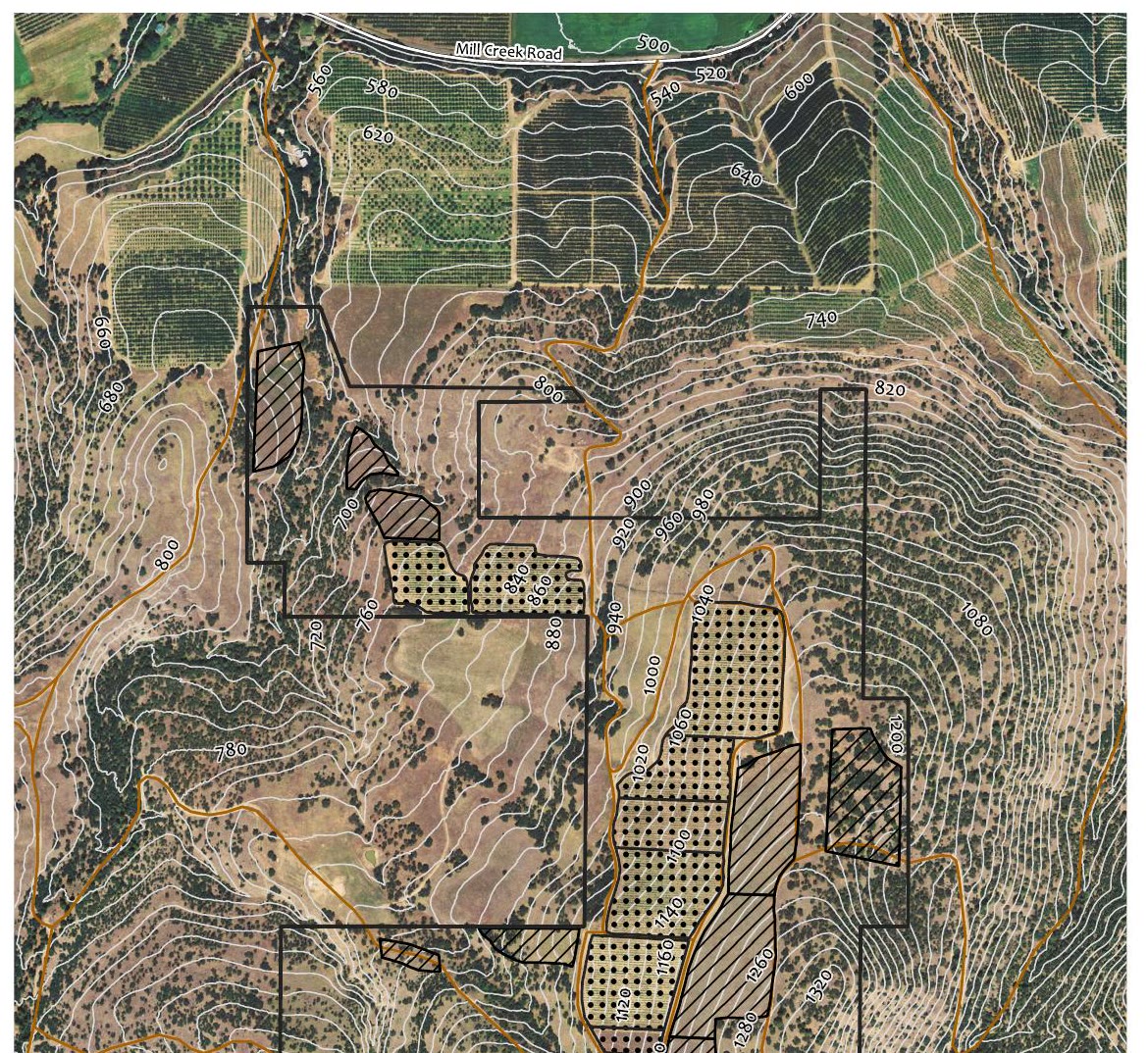 Windhorse Vineyard area contours map