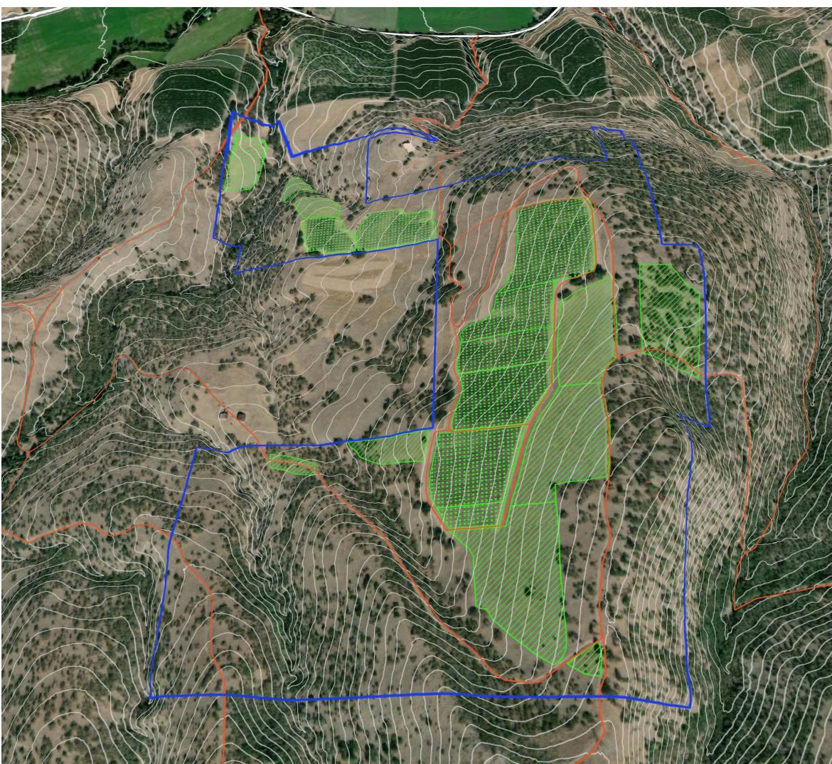 Windhorse Vineyard perspective view 1